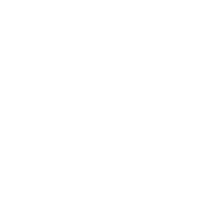 stat icon1