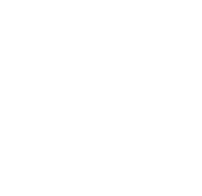 stat icon2